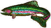 trout show xenoestrogens cause Uterine Fibroid Tumor ( Myoma )